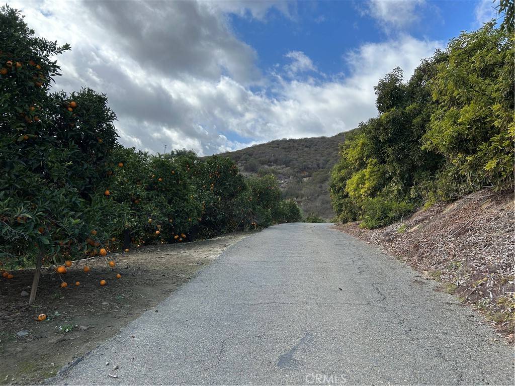 Fallbrook, CA 92028,754 Rainbow Hills RD