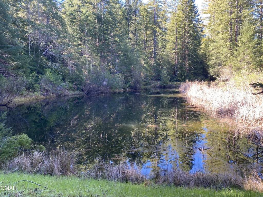 Philo, CA 95466,8400 Clow Meadow RD