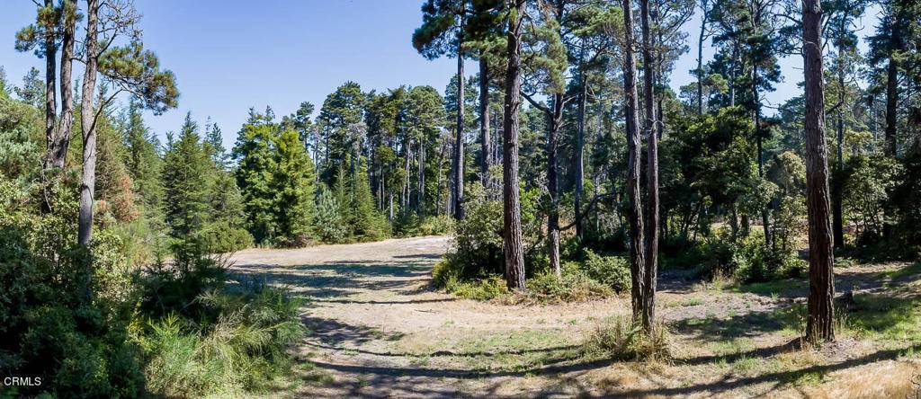 Fort Bragg, CA 95437,17625 Boice LN