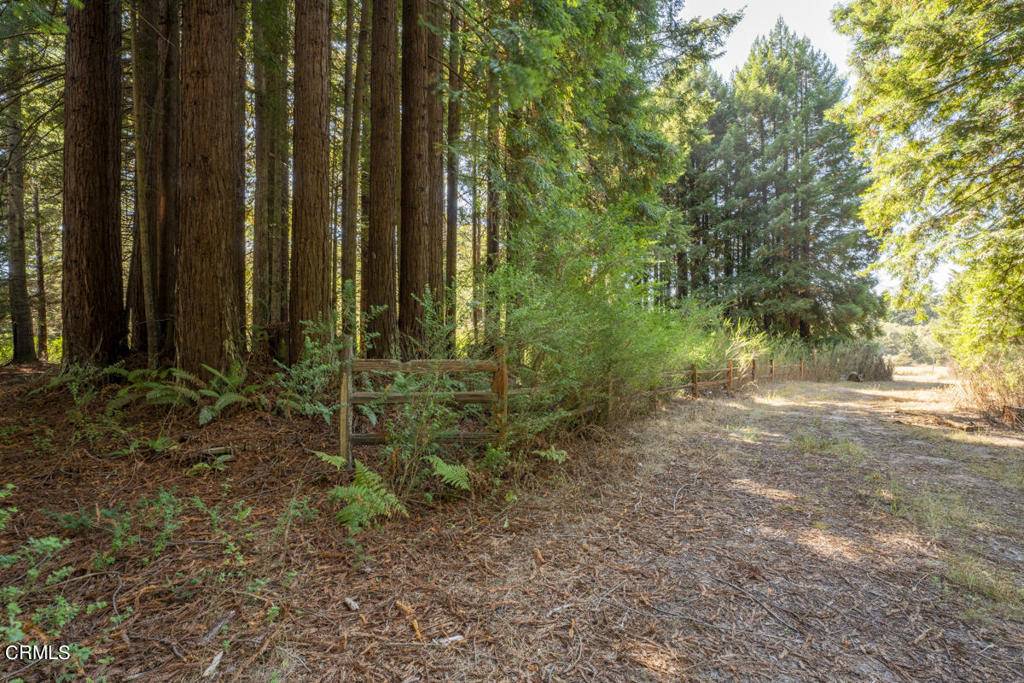 Fort Bragg, CA 95437,30800 Pudding Creek RD