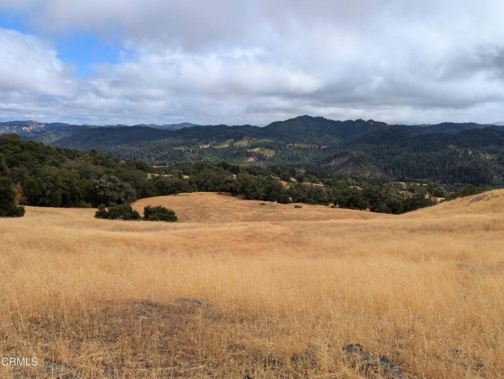 Yorkville, CA 95494,24051 Fig Tree LN
