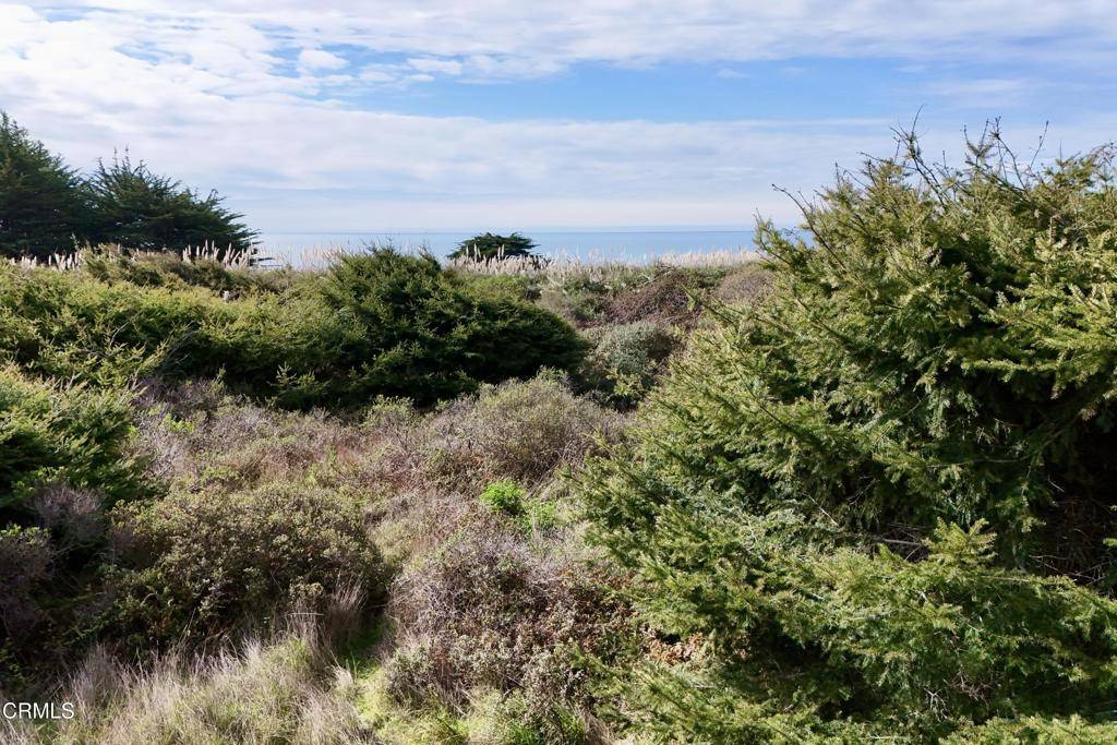 Westport, CA 95488,41151 Seascape DR