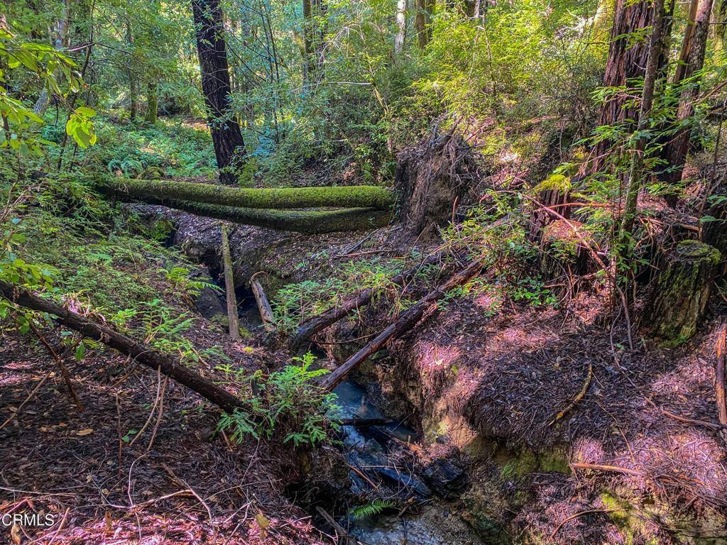 Willits, CA 95490,0 Irmulco RD