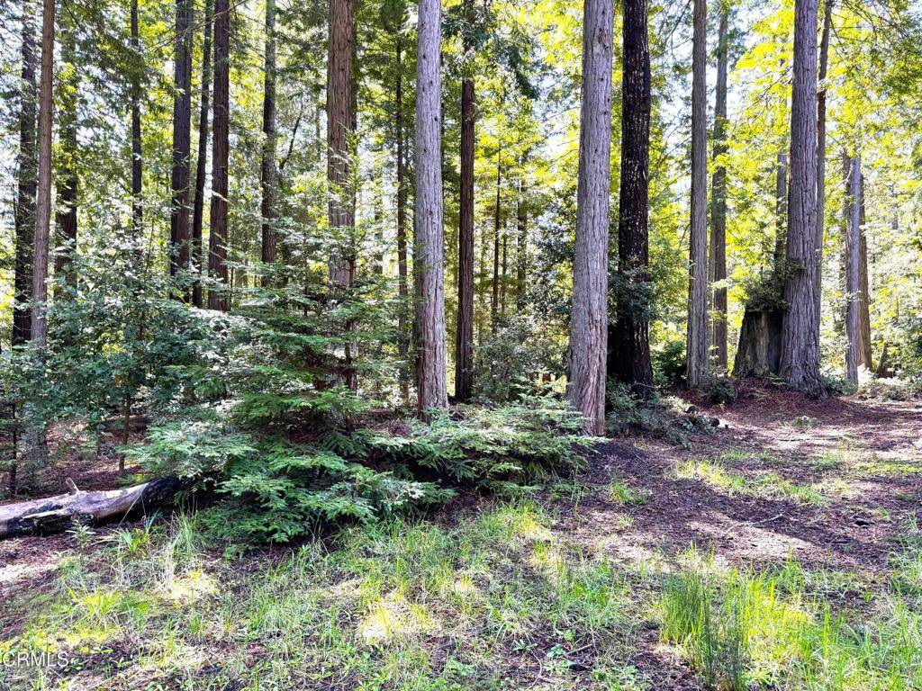 Mendocino, CA 95460,43700 Tibbens LN