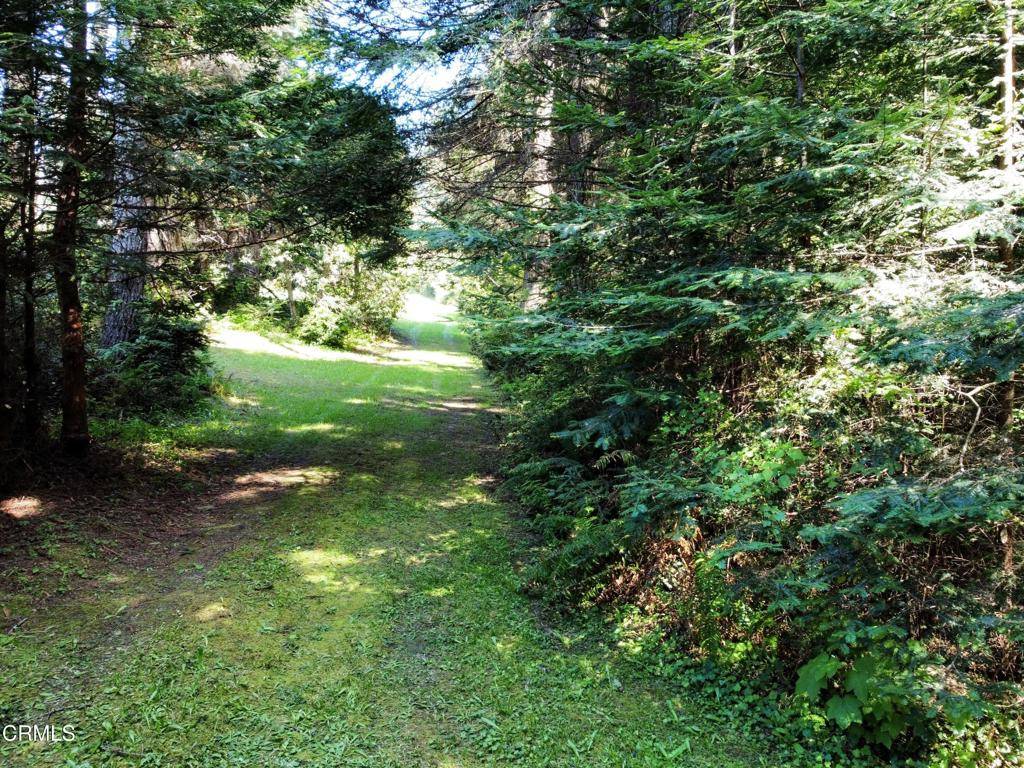 Mendocino, CA 95460,44551 Raven LN