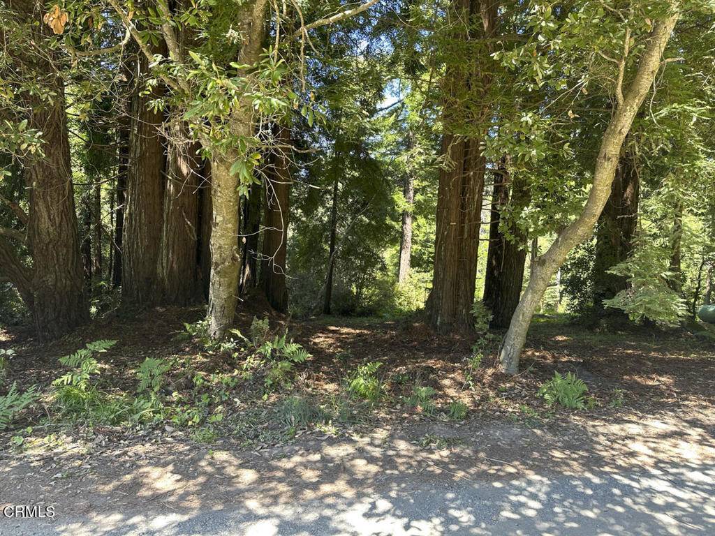 Fort Bragg, CA 95437,31320 Airport RD