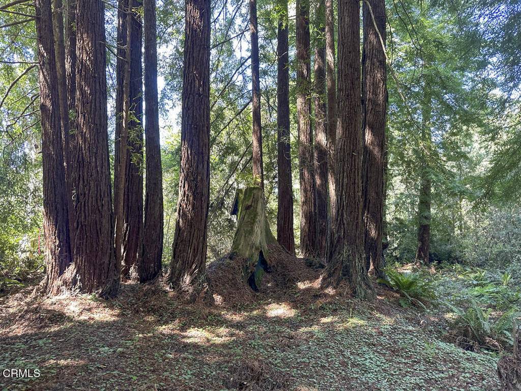 Fort Bragg, CA 95437,31320 Airport RD