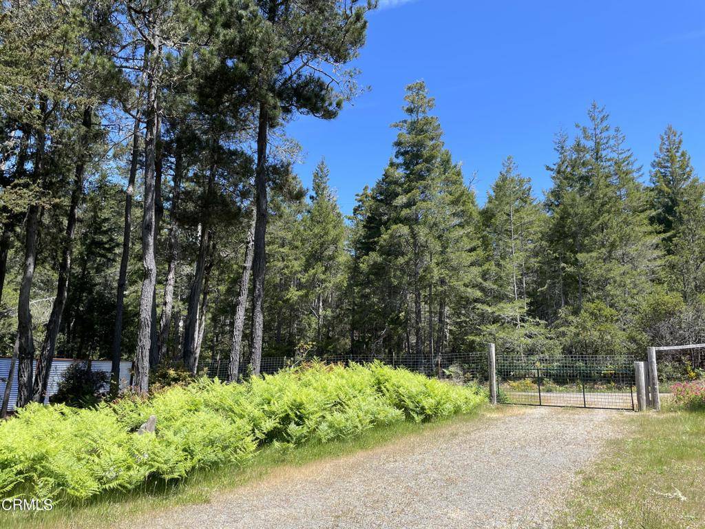 Albion, CA 95410,29331 Albion Ridge RD
