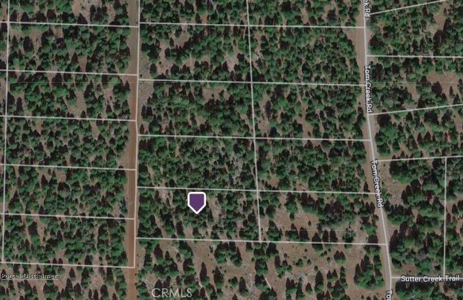 Alturas, CA 96101,0 Lot 13 Block 19