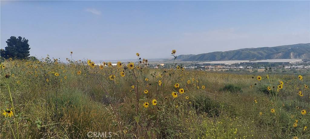 Devore, CA 92407,0 Meyers