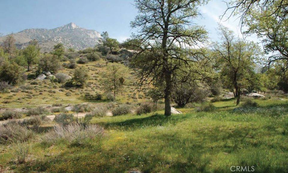 Lake Isabella, CA 93518,5570 Caliente Bodfish RD
