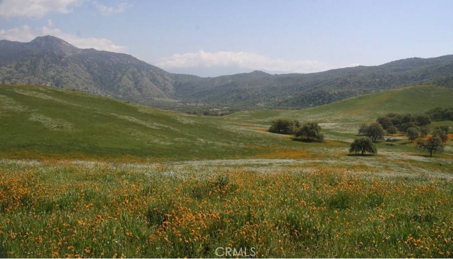 Lake Isabella, CA 93518,5570 Caliente Bodfish RD