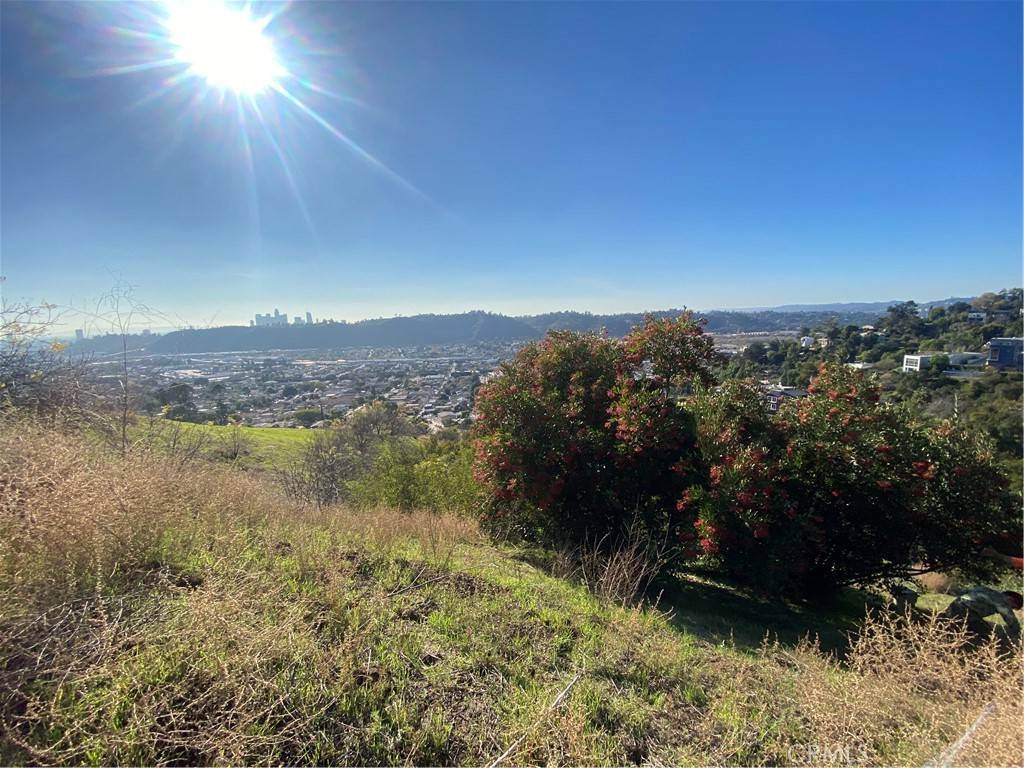 Mount Washington, CA 90065,280 Grand View TER