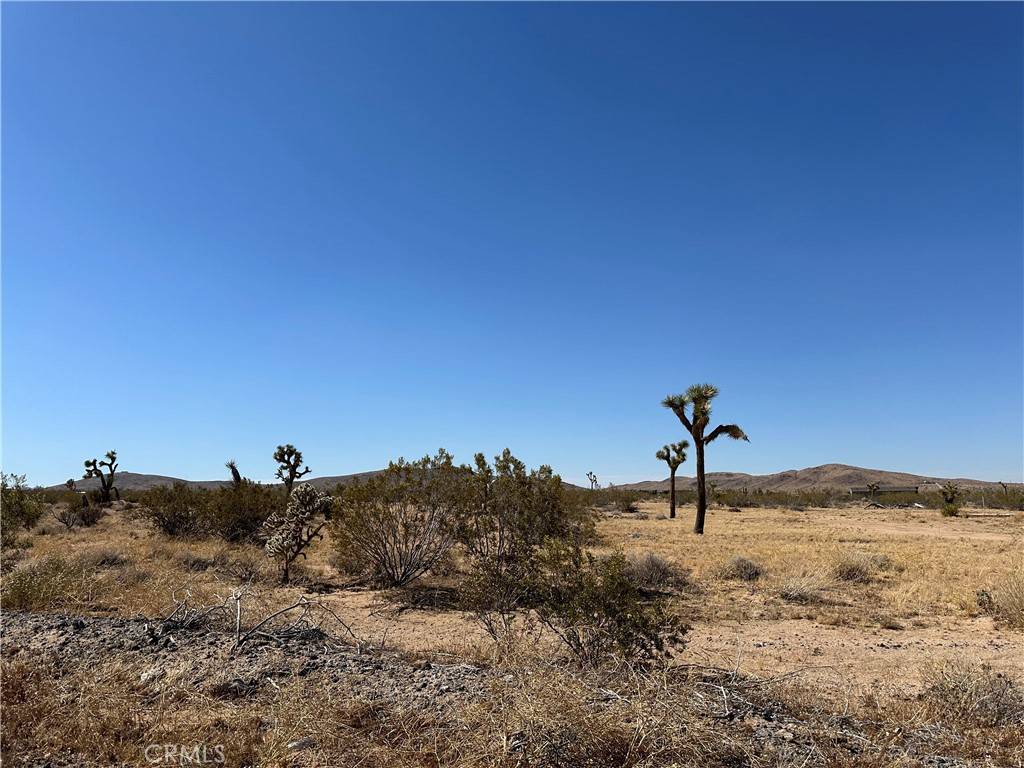 Joshua Tree, CA 92252,0 Aberdeen DR
