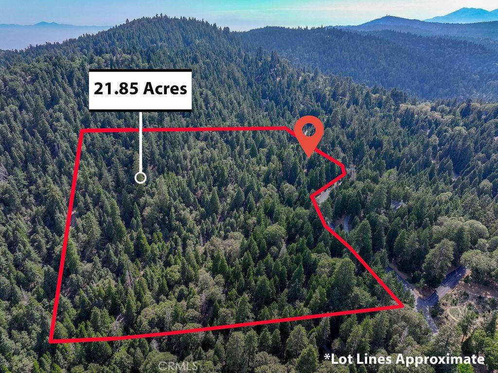 Lake Arrowhead, CA 92352,29207 Pigeon Hawk LN