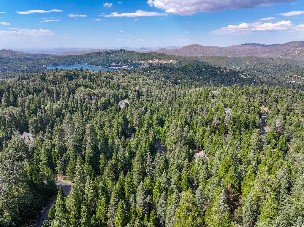 Lake Arrowhead, CA 92352,29207 Pigeon Hawk LN