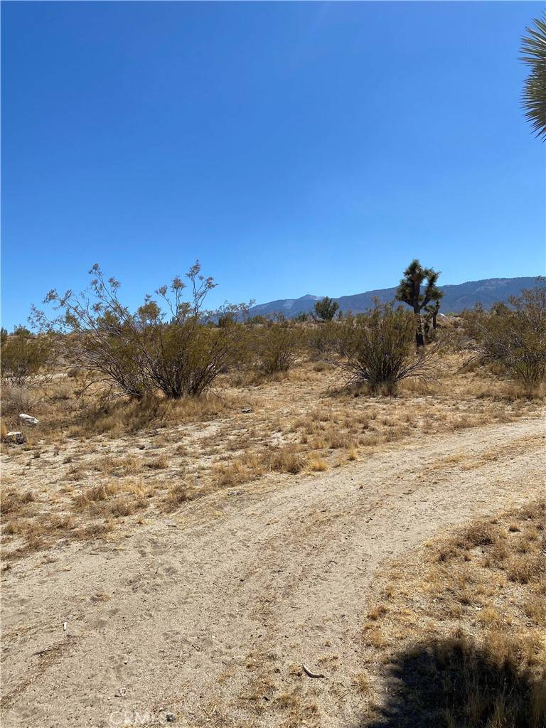 Pinon Hills, CA 92372,0 Arena RD