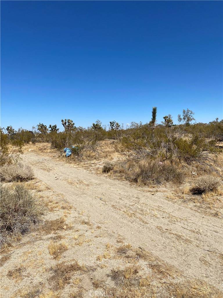 Pinon Hills, CA 92372,0 Arena RD