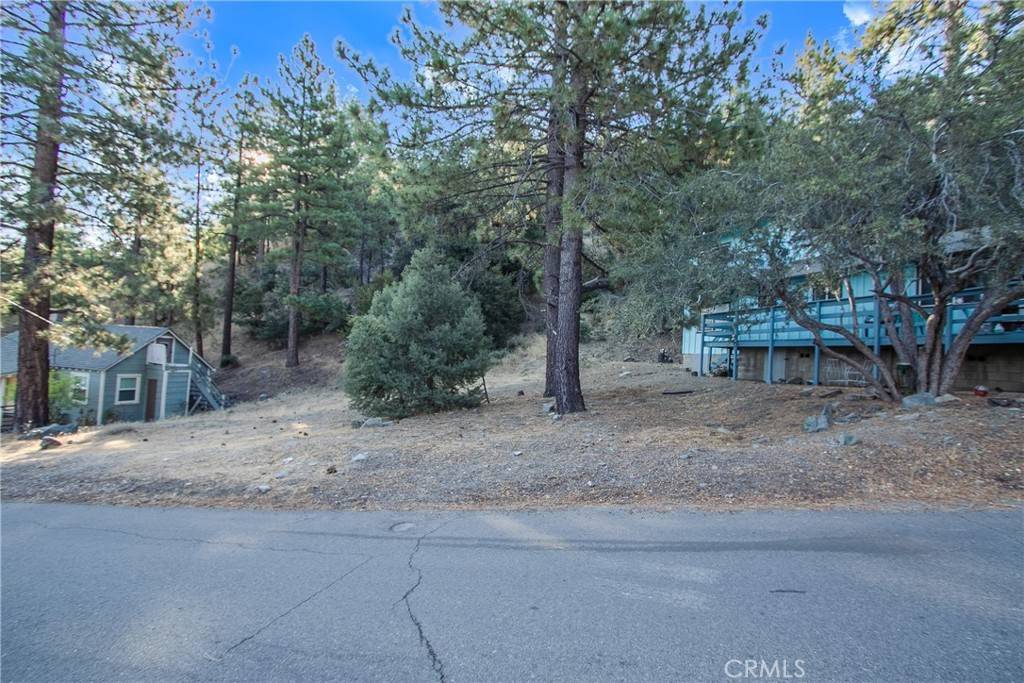 Wrightwood, CA 92397,0 E Canyon Dr