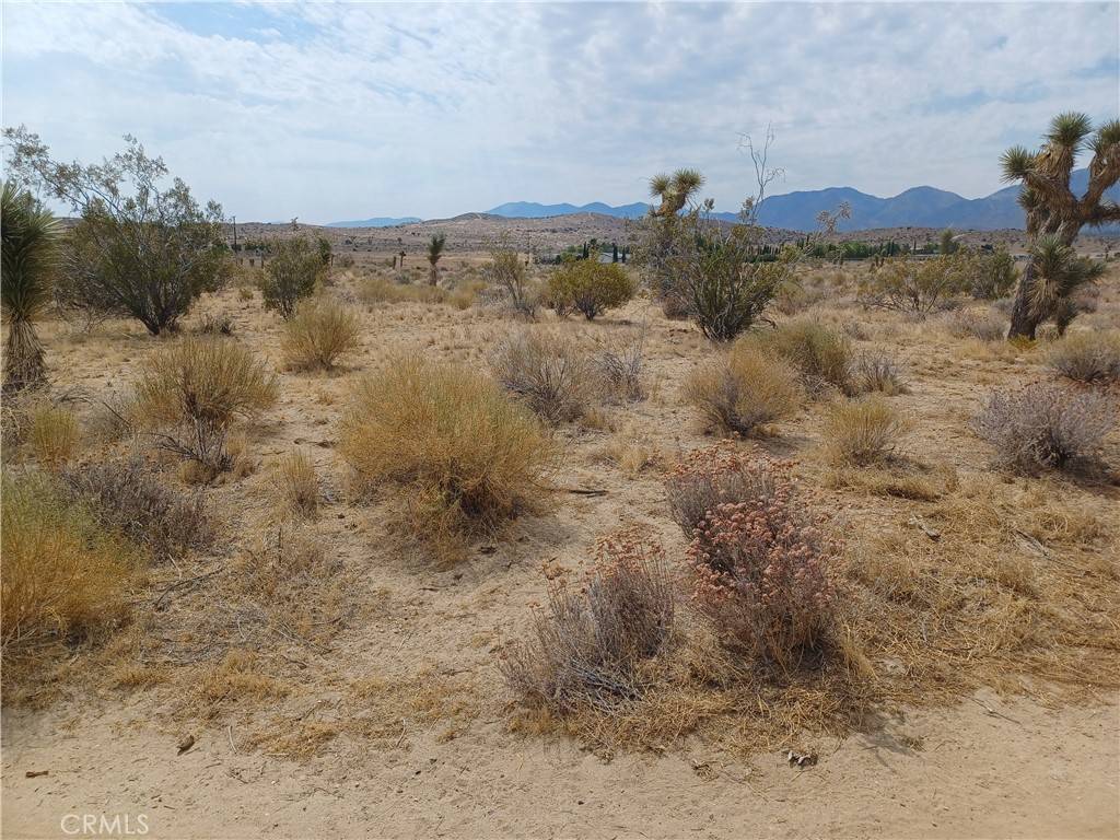 Pearblossom, CA 93553,0 E Avenue V-12