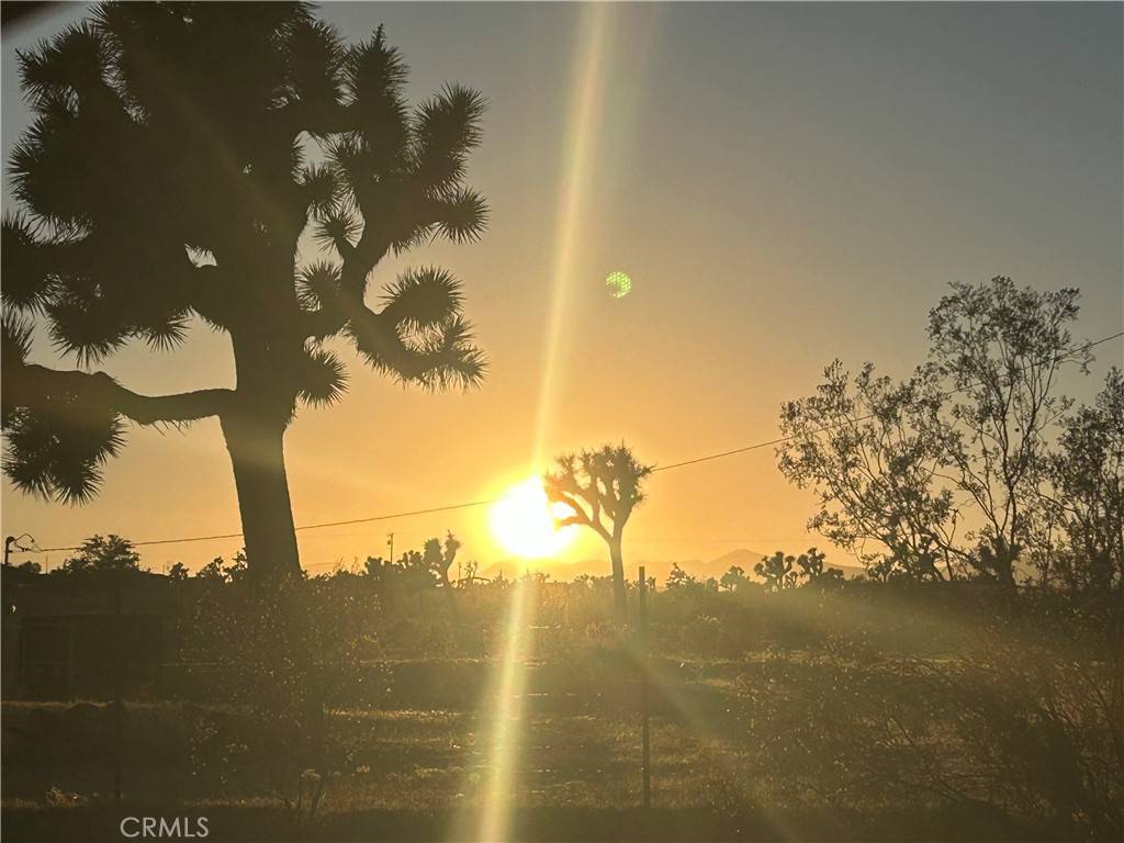 Joshua Tree, CA 92252,63737 Gibson RD