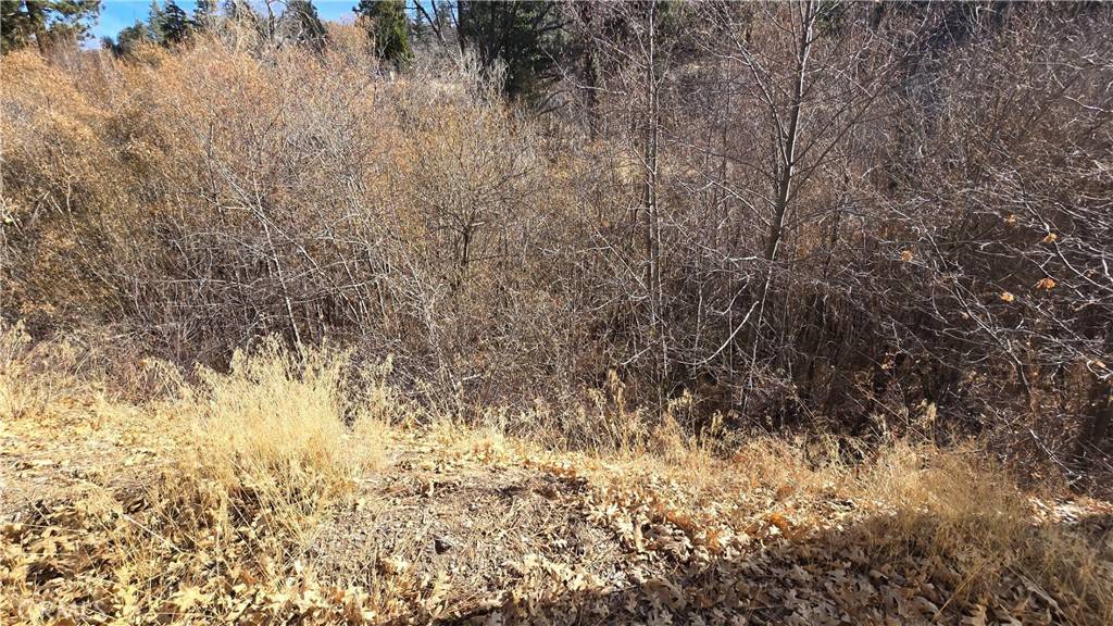 Cedar Glen, CA 92321,0 Big Tree DR