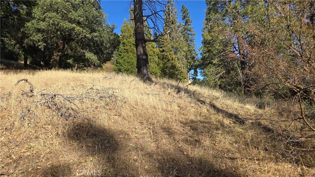 Cedarpines Park, CA 92322,0 unknown