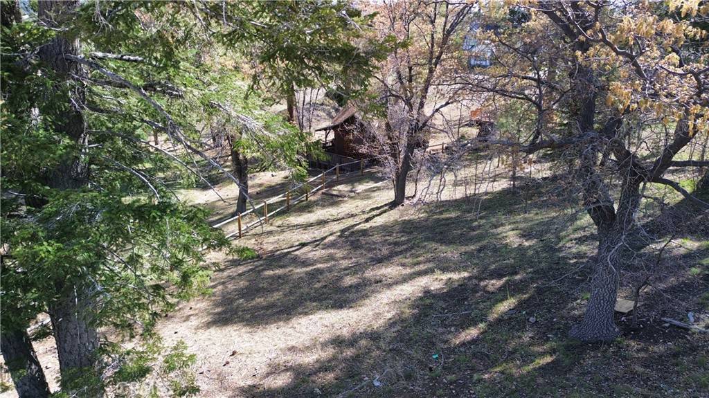 Big Bear Lake, CA 92315,859 Pine Meadow CT