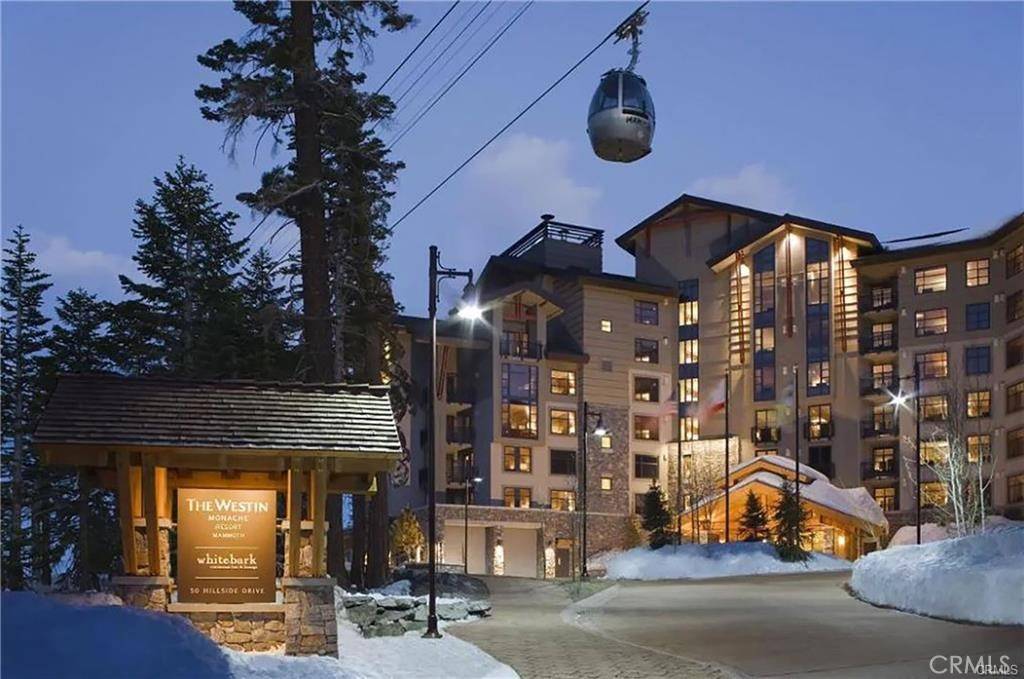 Mammoth Lakes, CA 93546,50 Hillside DR #541
