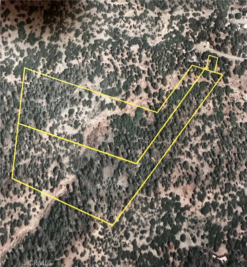 Wrightwood, CA 93544,0 Vac/Cardinal RD