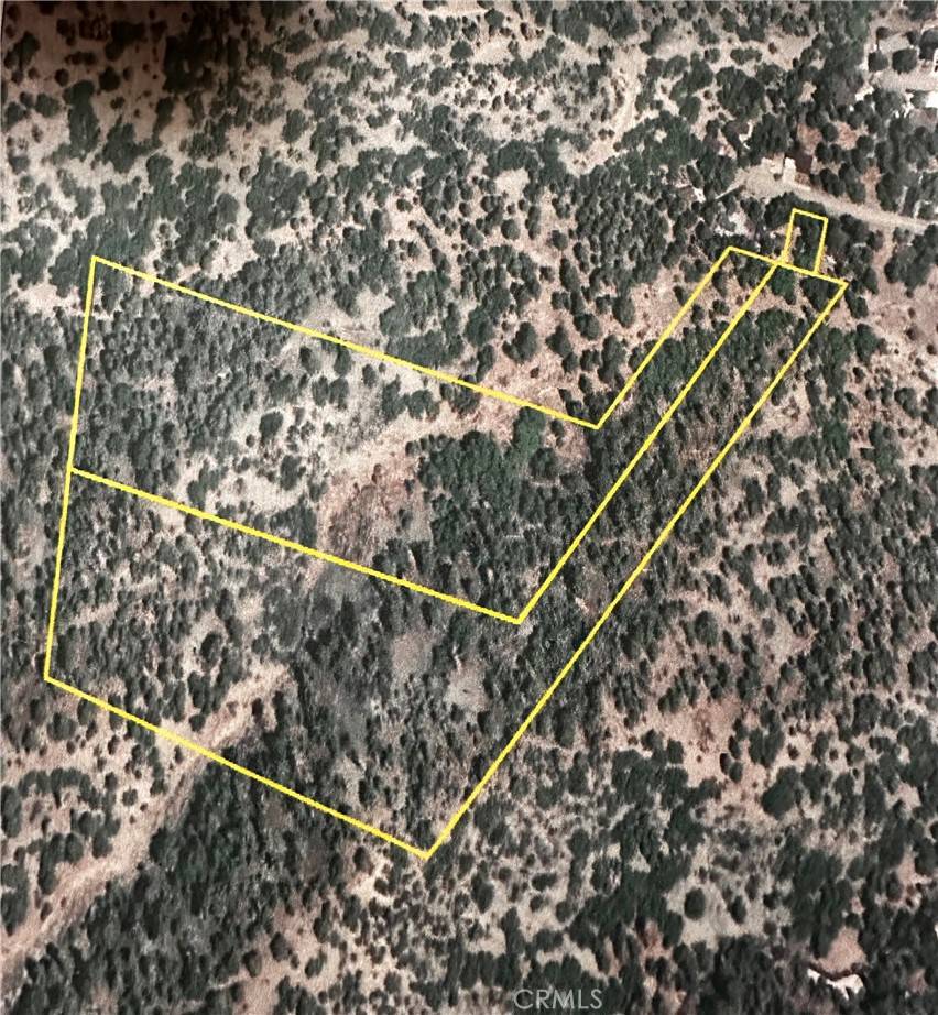 Wrightwood, CA 93544,0 Vac/Cardinal RD