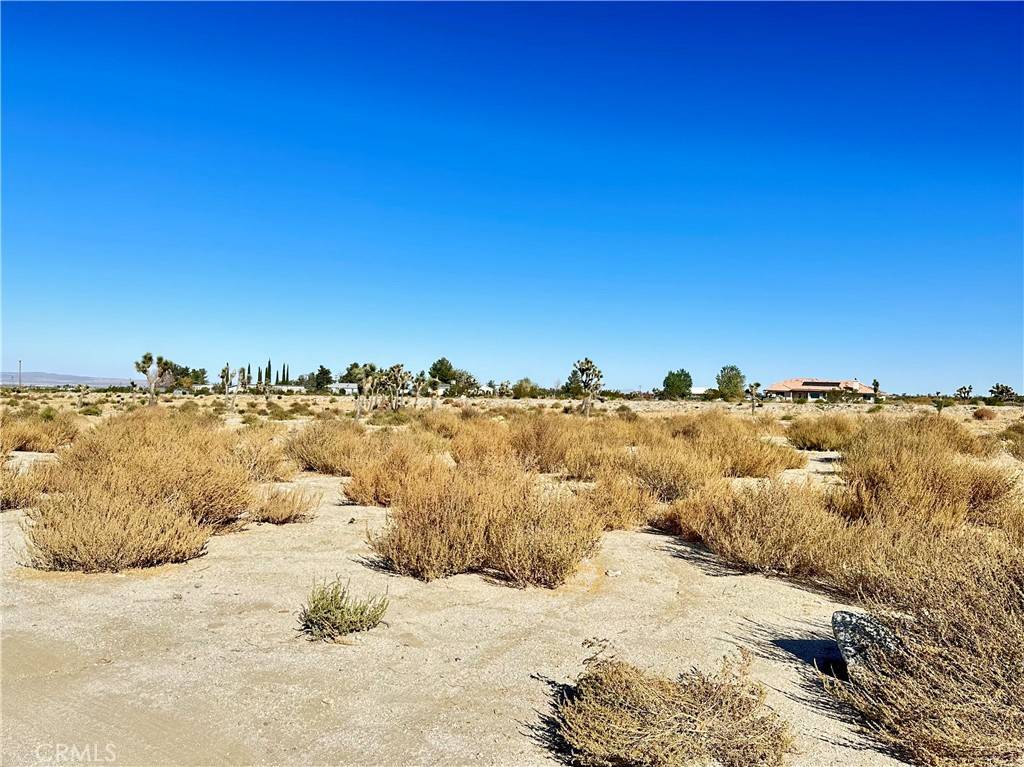 Pinon Hills, CA 92372,12025 Primavera RD