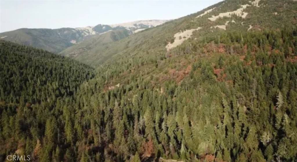 Covelo, CA 95428,34500 Etsel Ridge RD