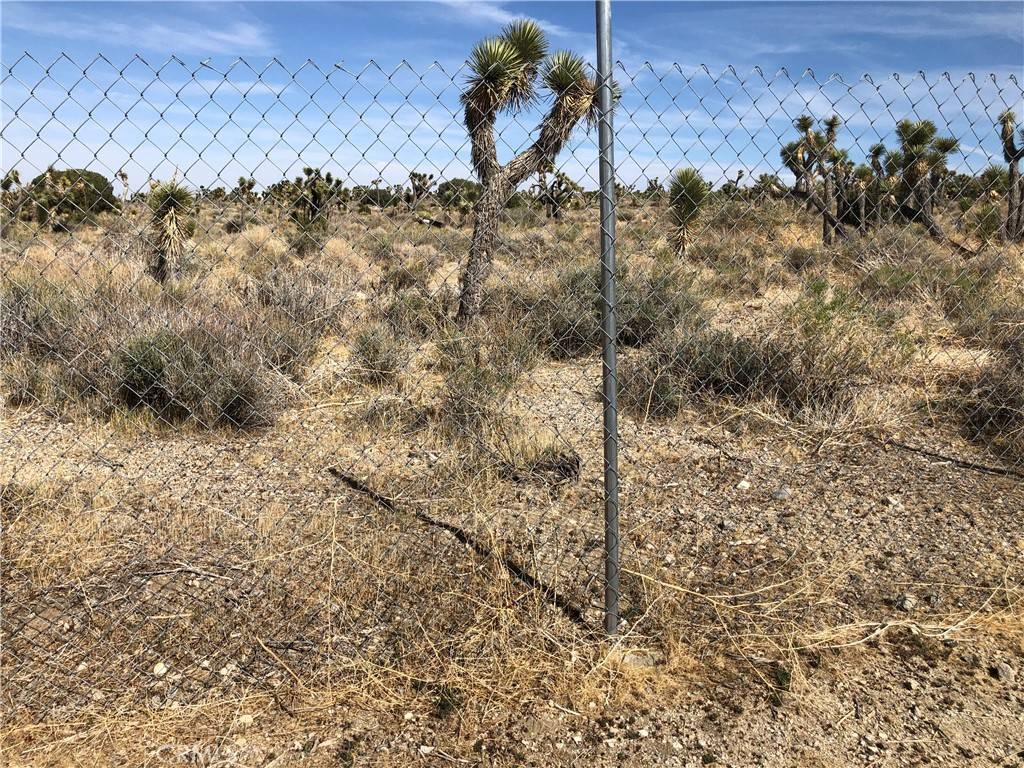 Pinon Hills, CA 92372,0 0