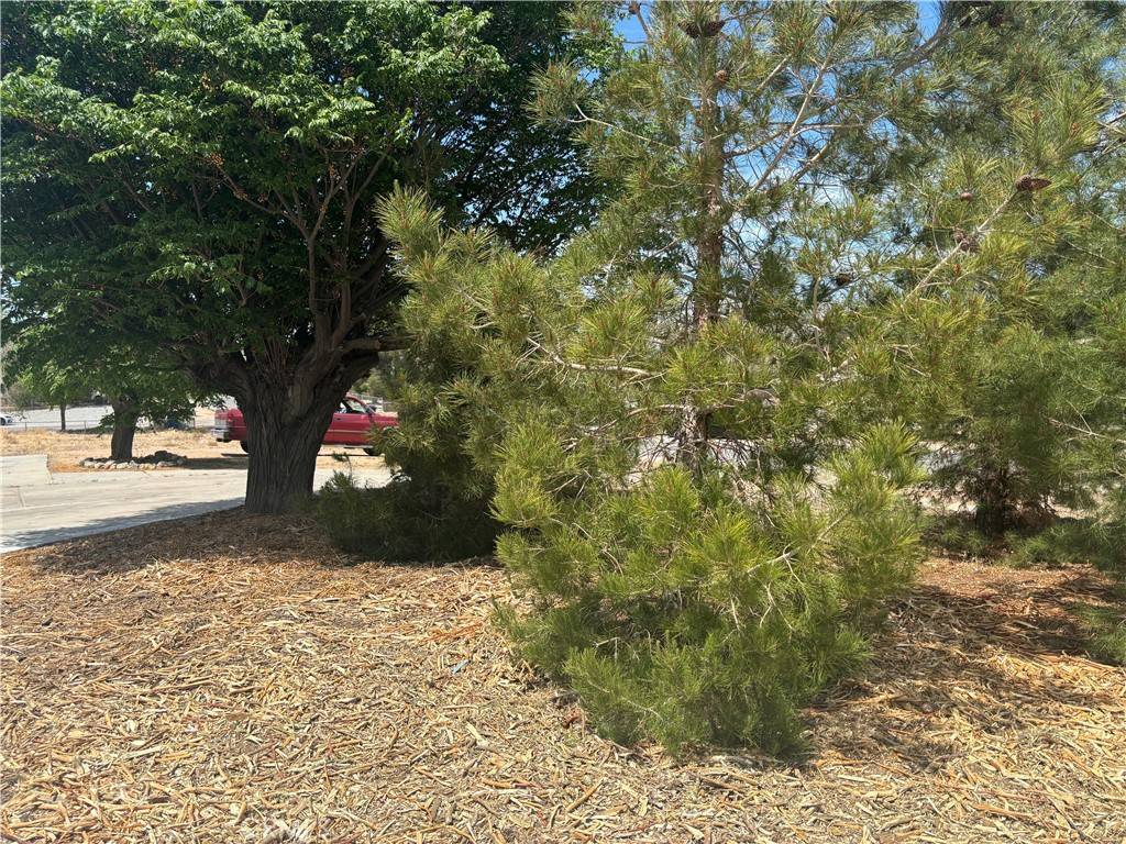 Victorville, CA 92395,12494 9th AVE
