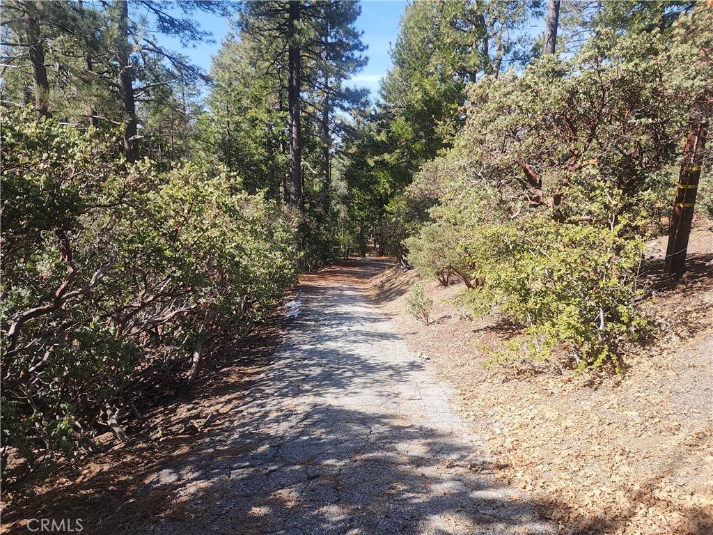 Idyllwild, CA 92549,52547 Pine Cove RD