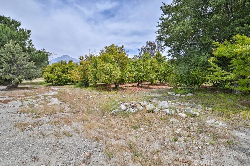 Claremont, CA 91711,777 E Miramar AVE