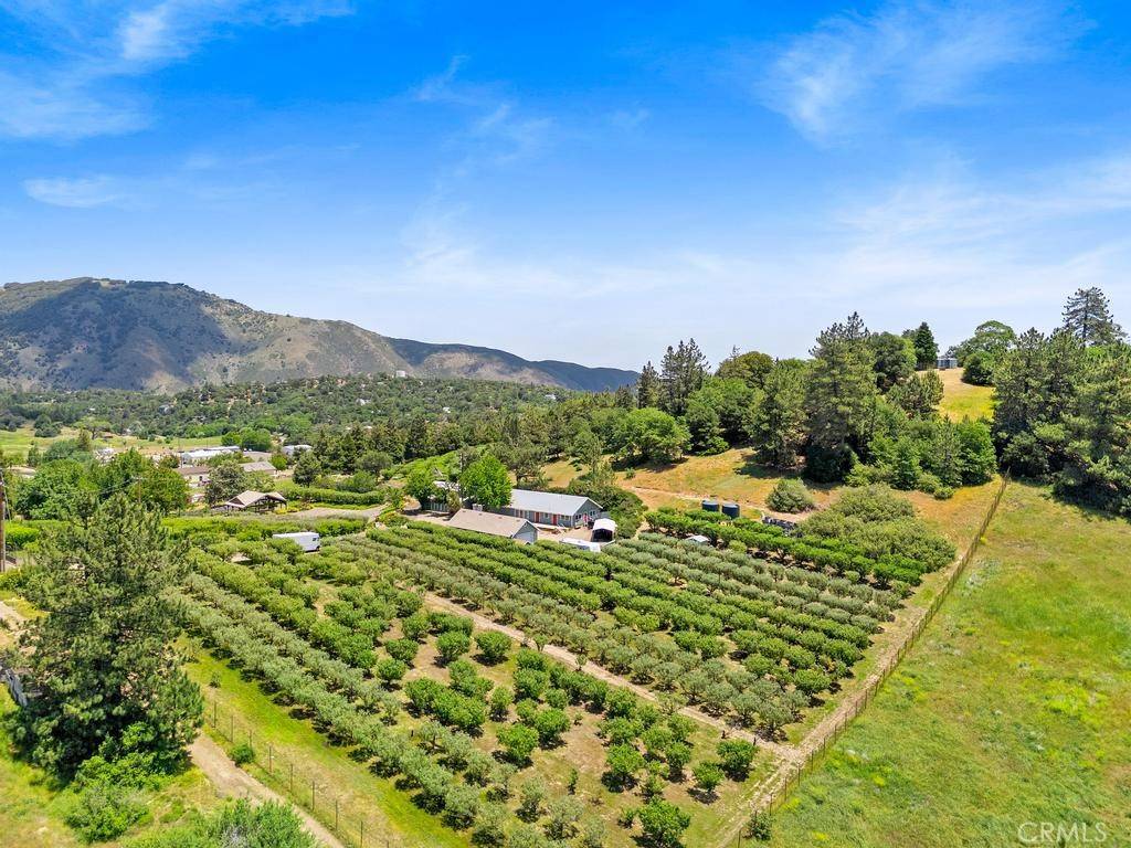 Julian, CA 92036,2645 Apple LN