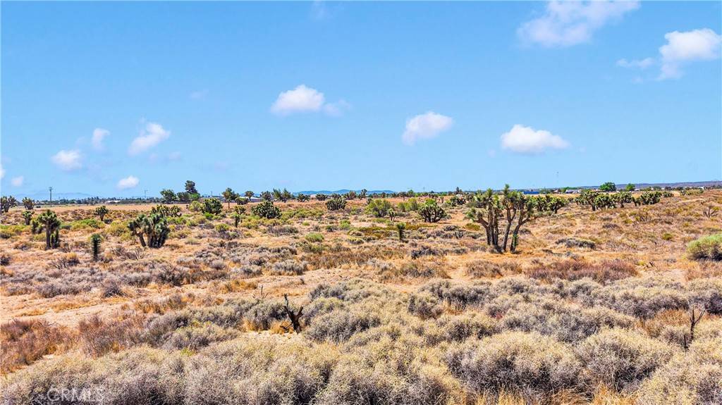 Phelan, CA 92371,0 Beaver AVE