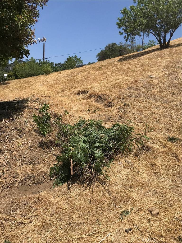 Los Angeles, CA 90065,0 THORPE AVE