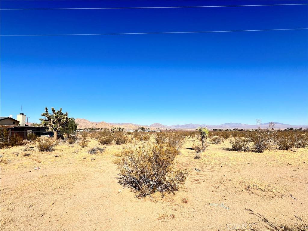 Lucerne Valley, CA 92356,31340 Morningside St