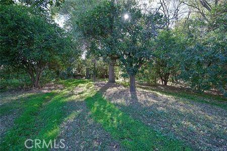 Upland, CA 91786,200 E 13th ST