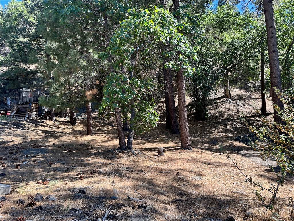 Wrightwood, CA 92397,0 Heath Creek DR