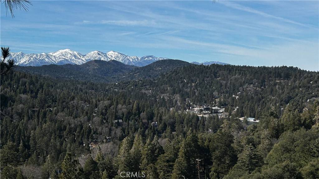 Crestline, CA 92325,25152 Valle DR