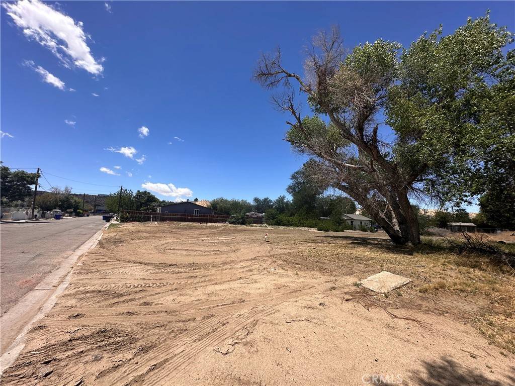 Victorville, CA 92395,15780 Cottonwood ST