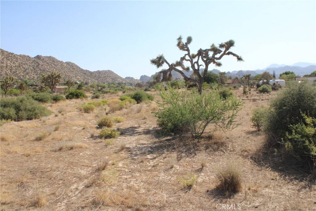 Pioneertown, CA 92668,0 Minna  Gombell Ln.