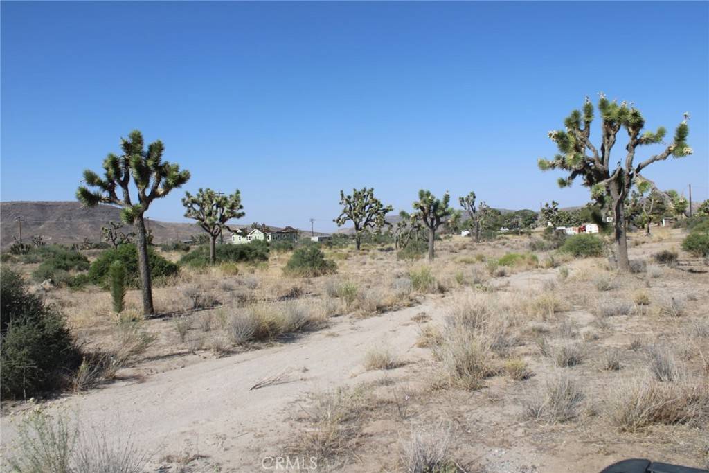 Pioneertown, CA 92668,0 Minna  Gombell Ln.
