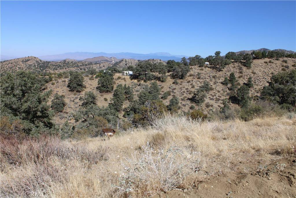 Pinon Hills, CA 92397,7935 Scenic DR