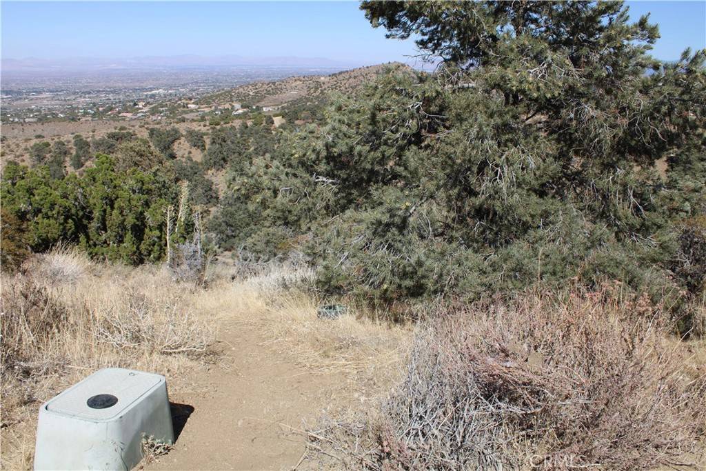 Pinon Hills, CA 92397,7935 Scenic DR