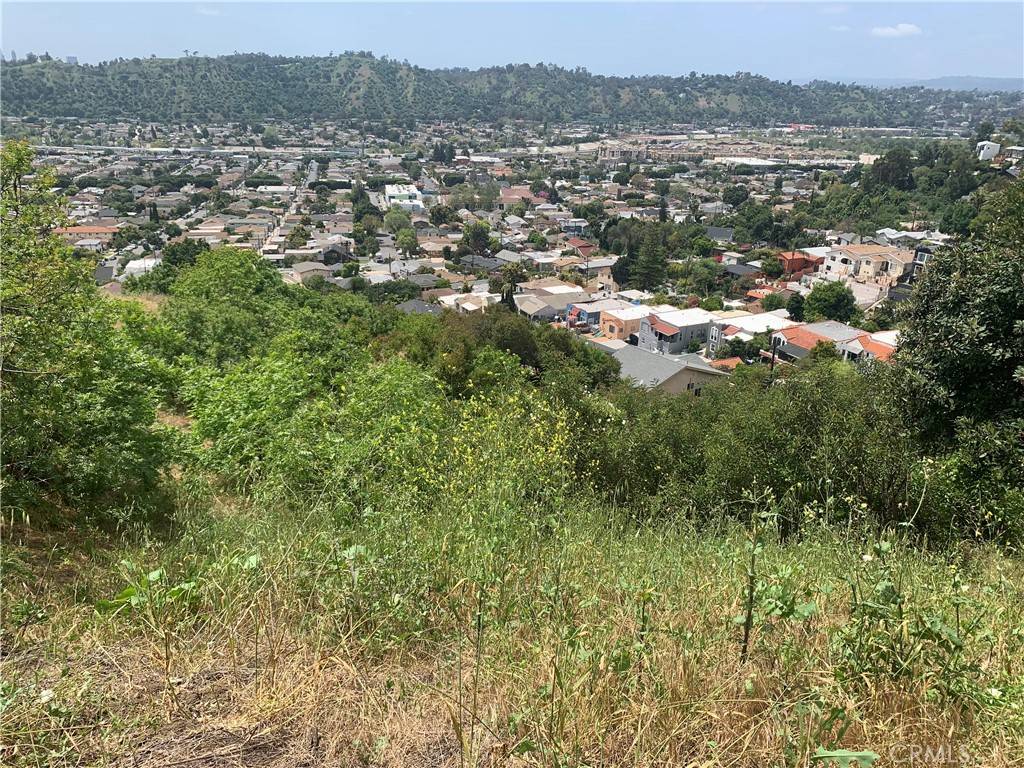 Los Angeles, CA 90065,280 Grand View Ter Mount